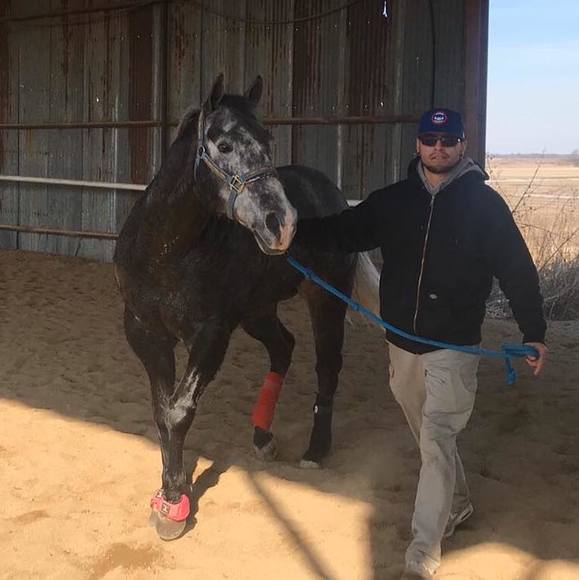 Meet your Posher, Fernando - Picture 1 of 1